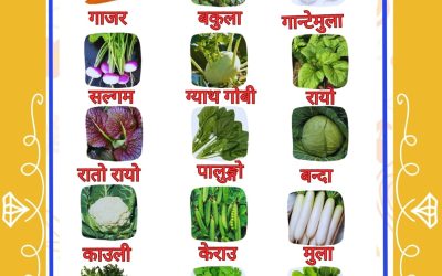 Vegetable, Fruits & Flower Seeds